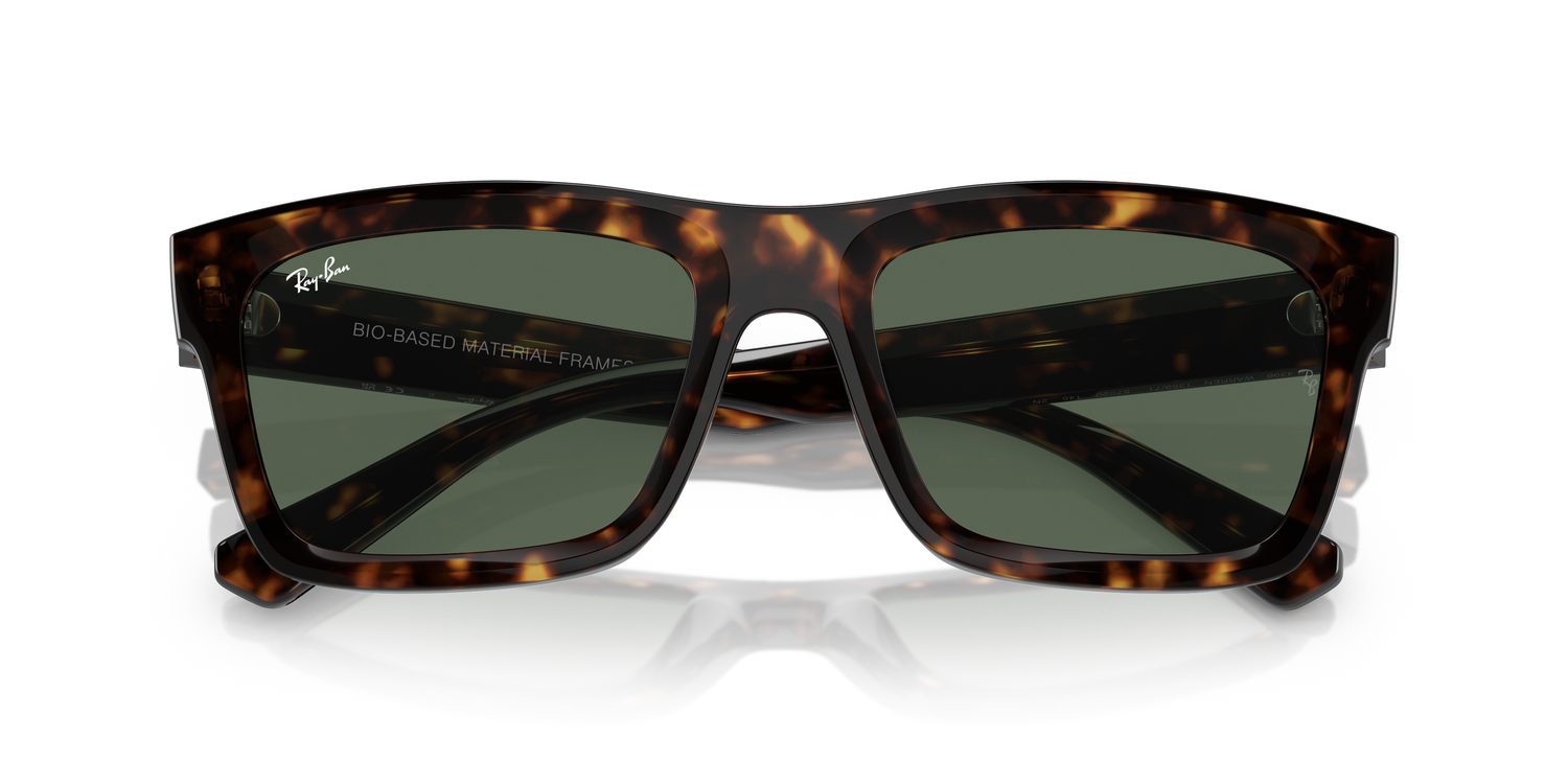 Ray-Ban | 0RB4396