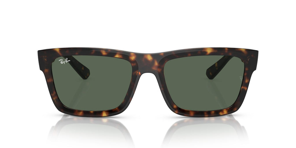 Ray-Ban | 0RB4396