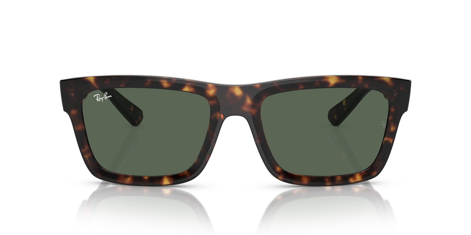 Ray-Ban | 0RB4396