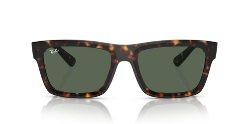 Ray-Ban | 0RB4396