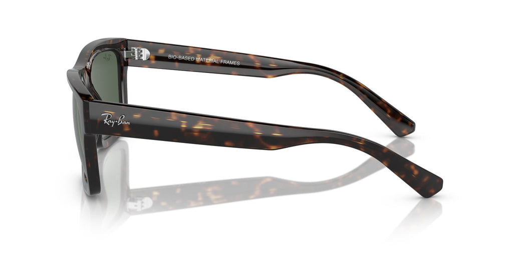 Ray-Ban | 0RB4396