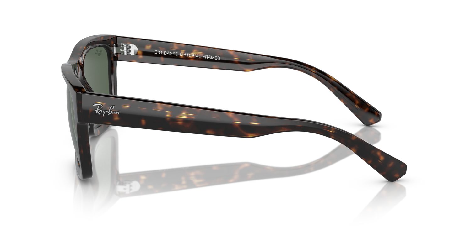Ray-Ban | 0RB4396