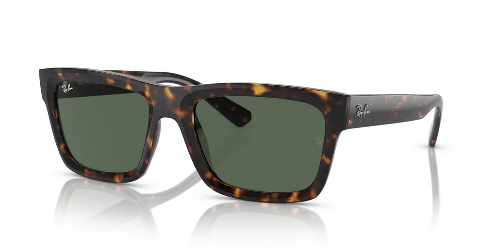Ray-Ban | 0RB4396