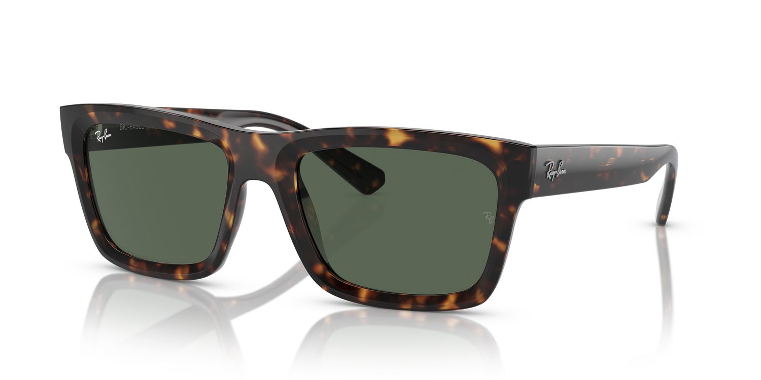 Ray-Ban | 0RB4396