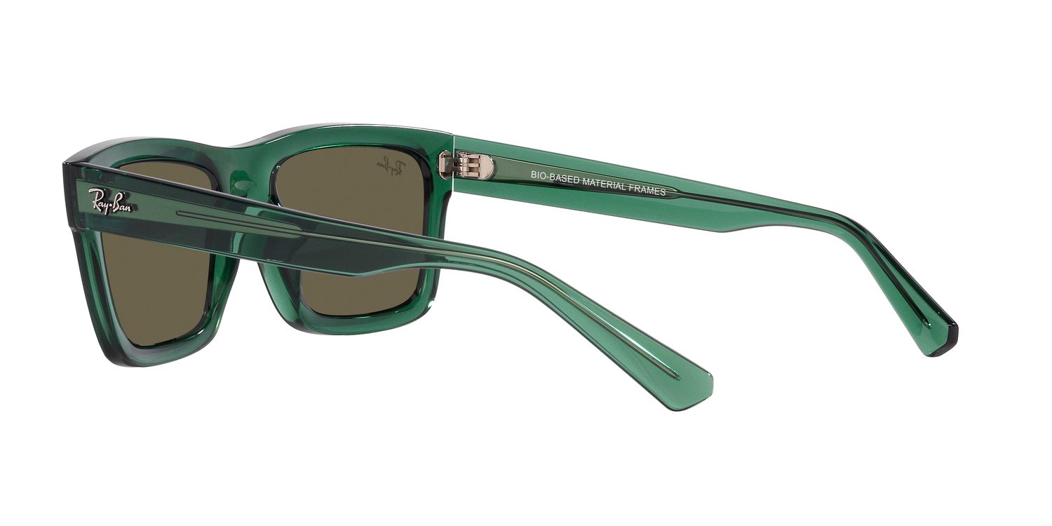 Ray-Ban | 0RB4396