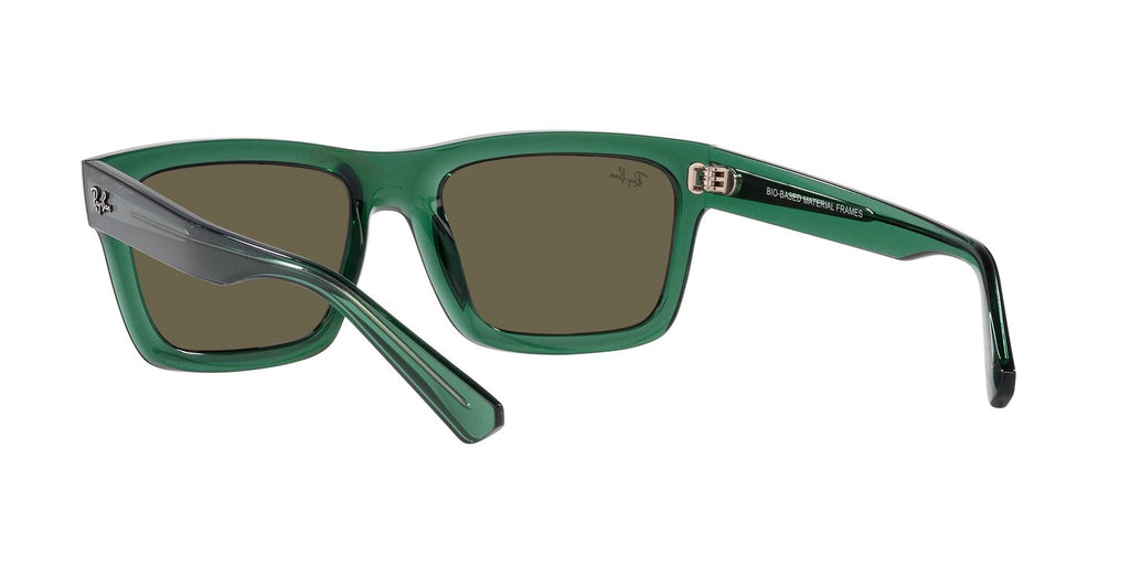 Ray-Ban | 0RB4396