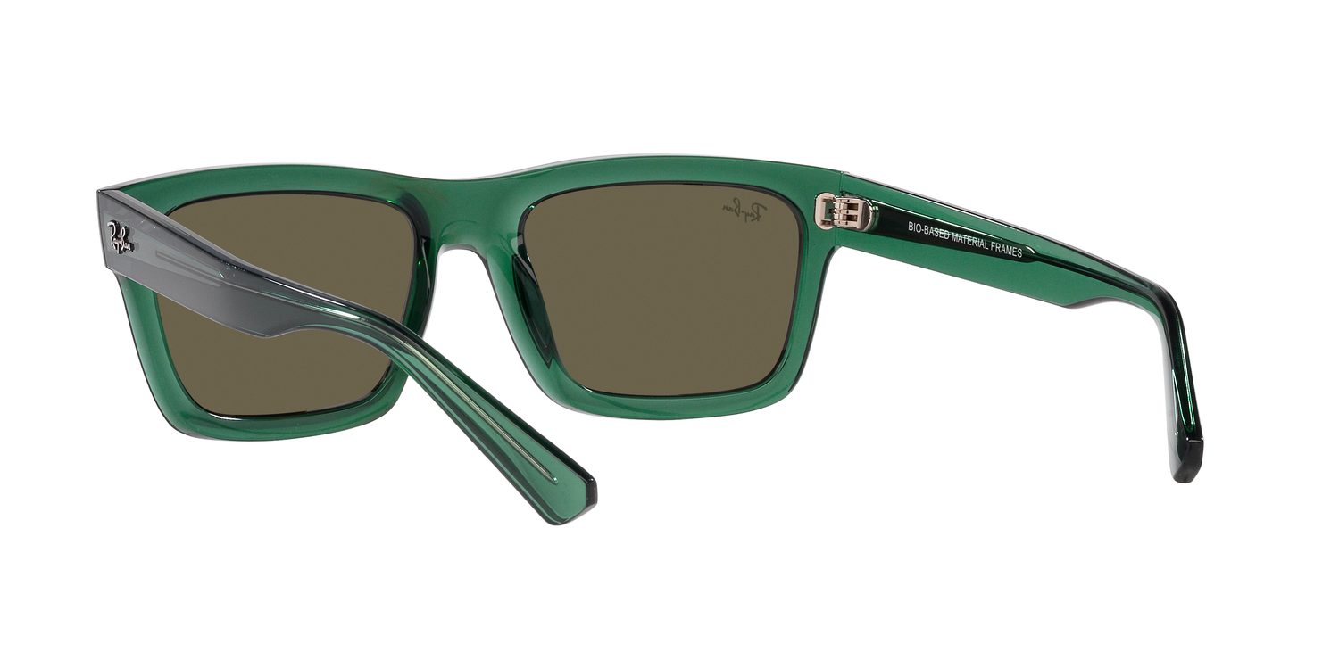 Ray-Ban | 0RB4396