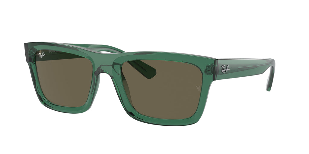 Ray-Ban | 0RB4396
