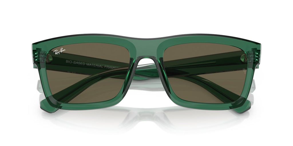 Ray-Ban | 0RB4396