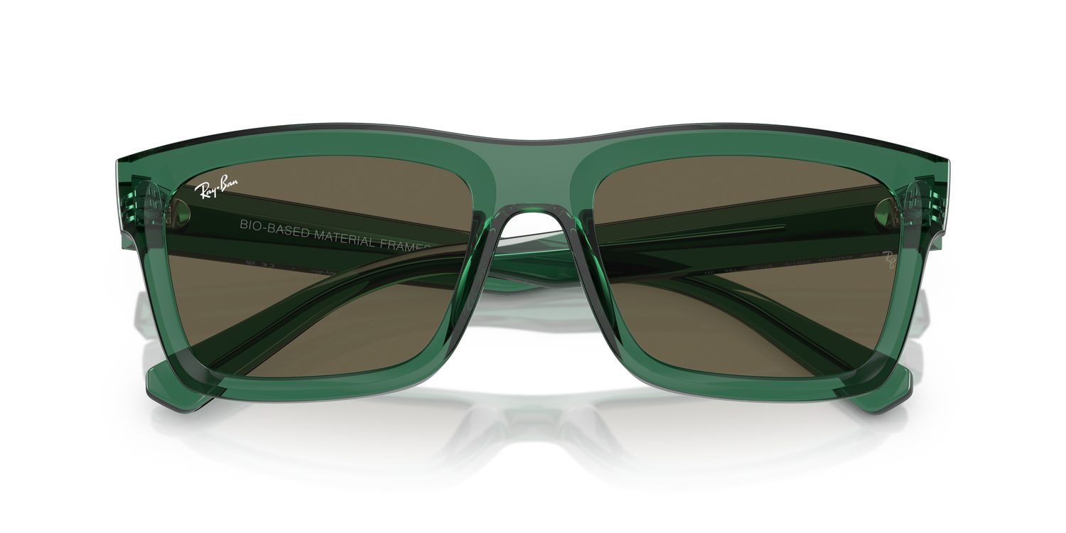 Ray-Ban | 0RB4396