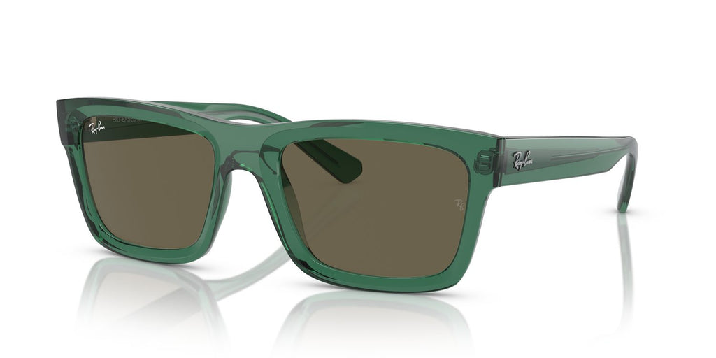 Ray-Ban | 0RB4396