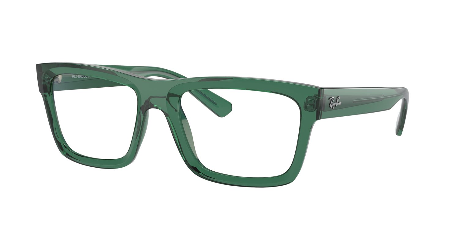 Ray-Ban | 0RB4396