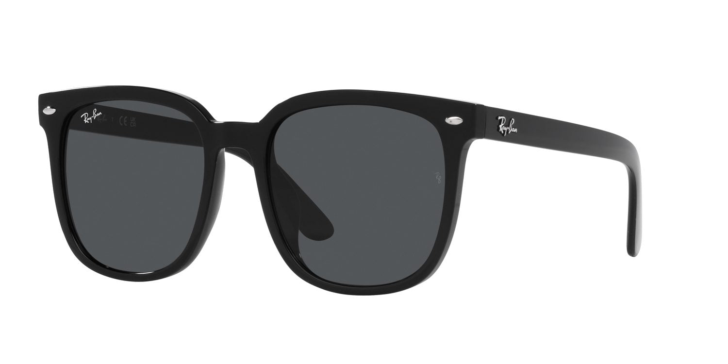 Ray-Ban | 0RB4401D