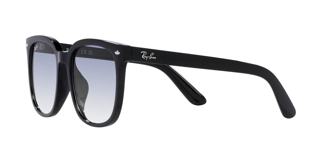 Ray-Ban | 0RB4401D