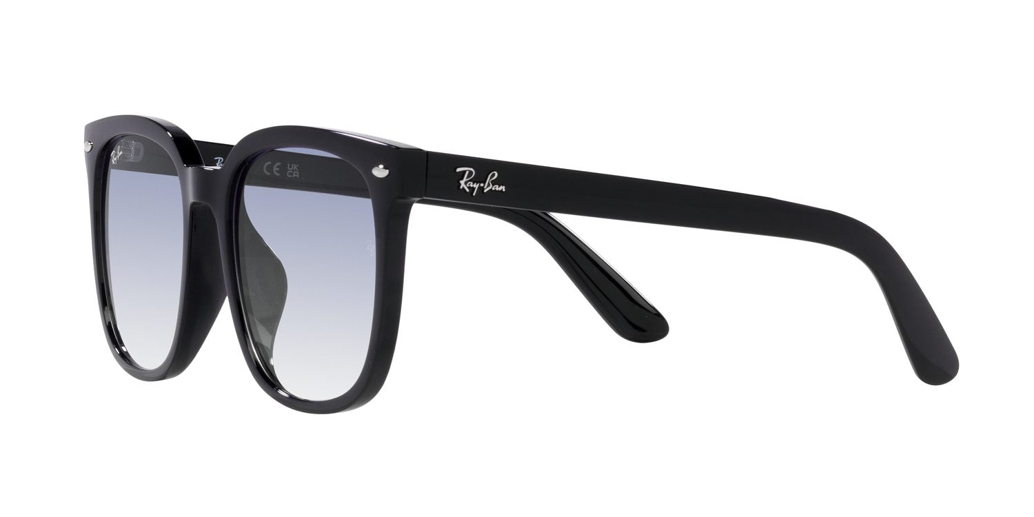 Ray-Ban | 0RB4401D
