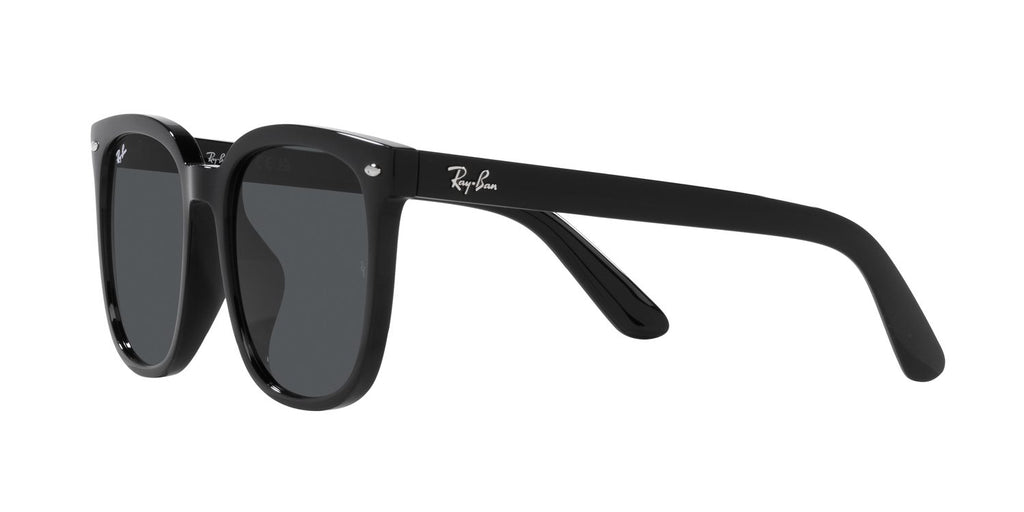 Ray-Ban | 0RB4401D