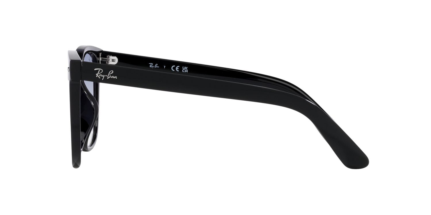 Ray-Ban | 0RB4401D
