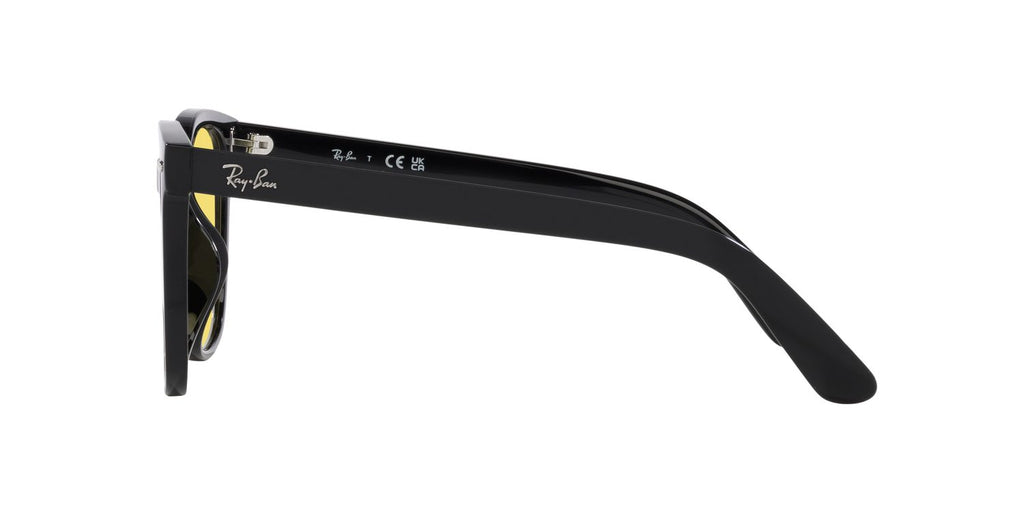 Ray-Ban | 0RB4401D