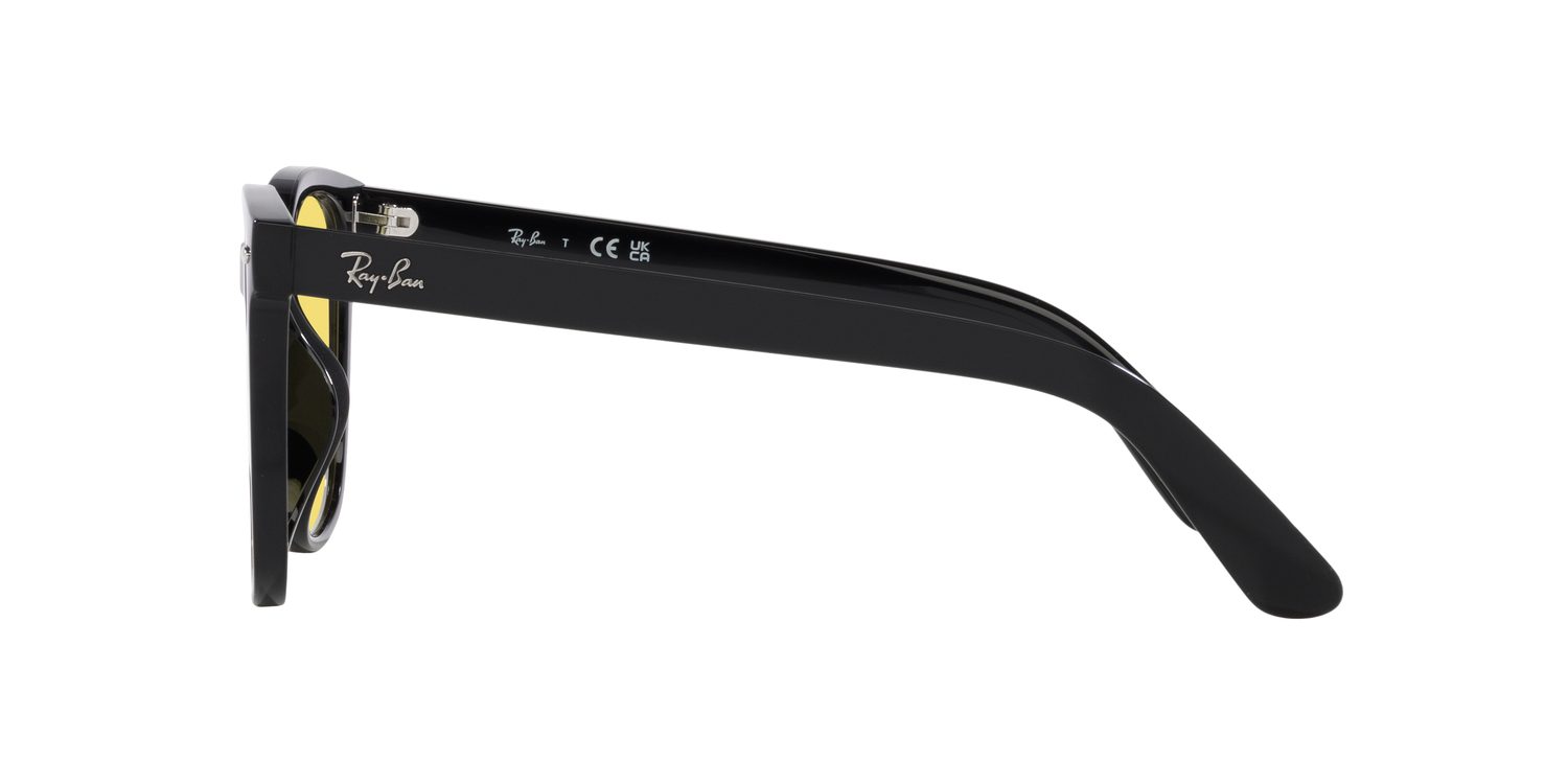 Ray-Ban | 0RB4401D