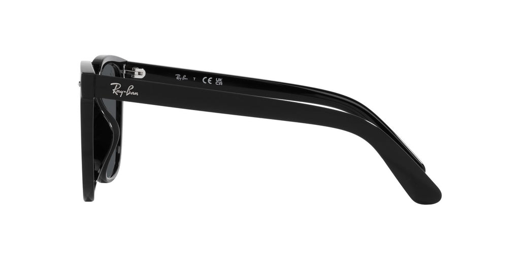 Ray-Ban | 0RB4401D