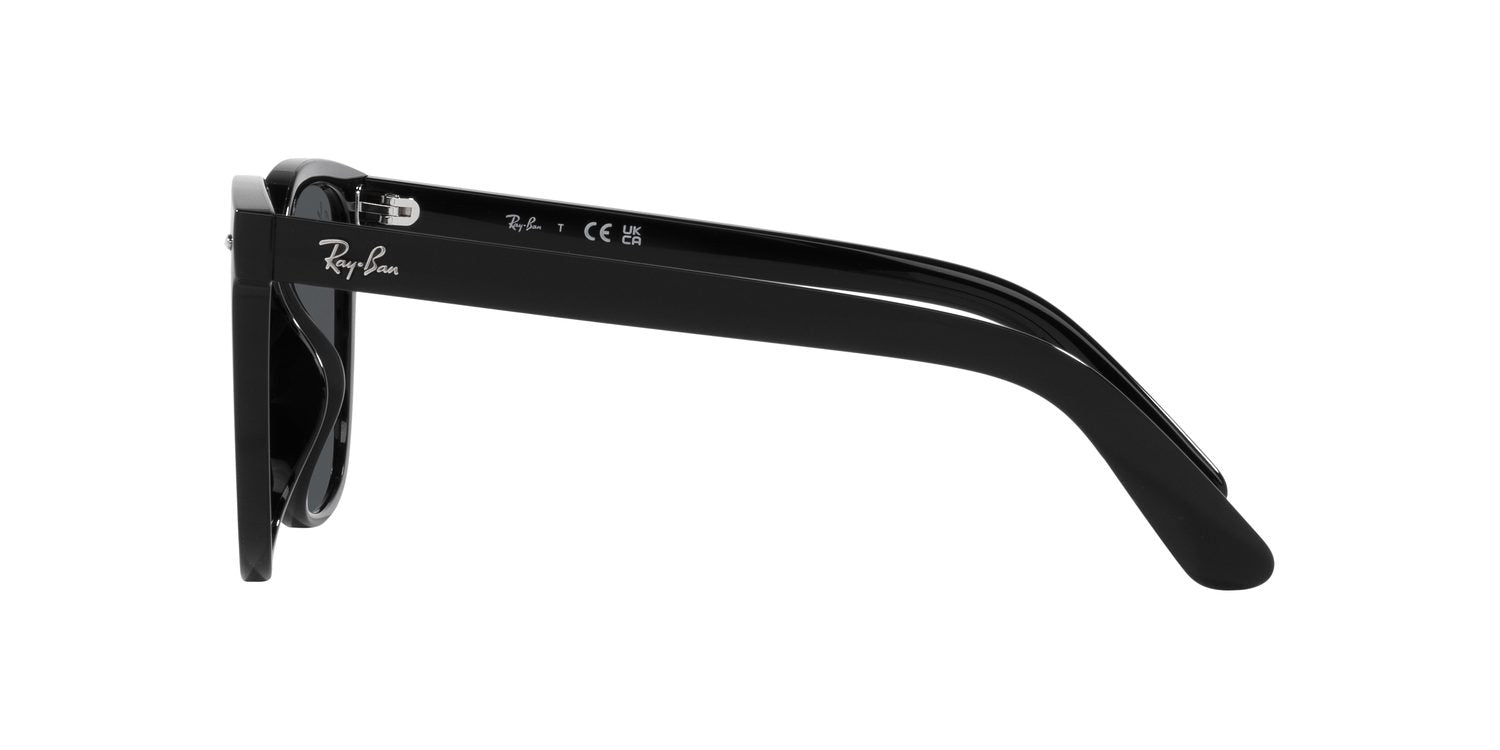 Ray-Ban | 0RB4401D