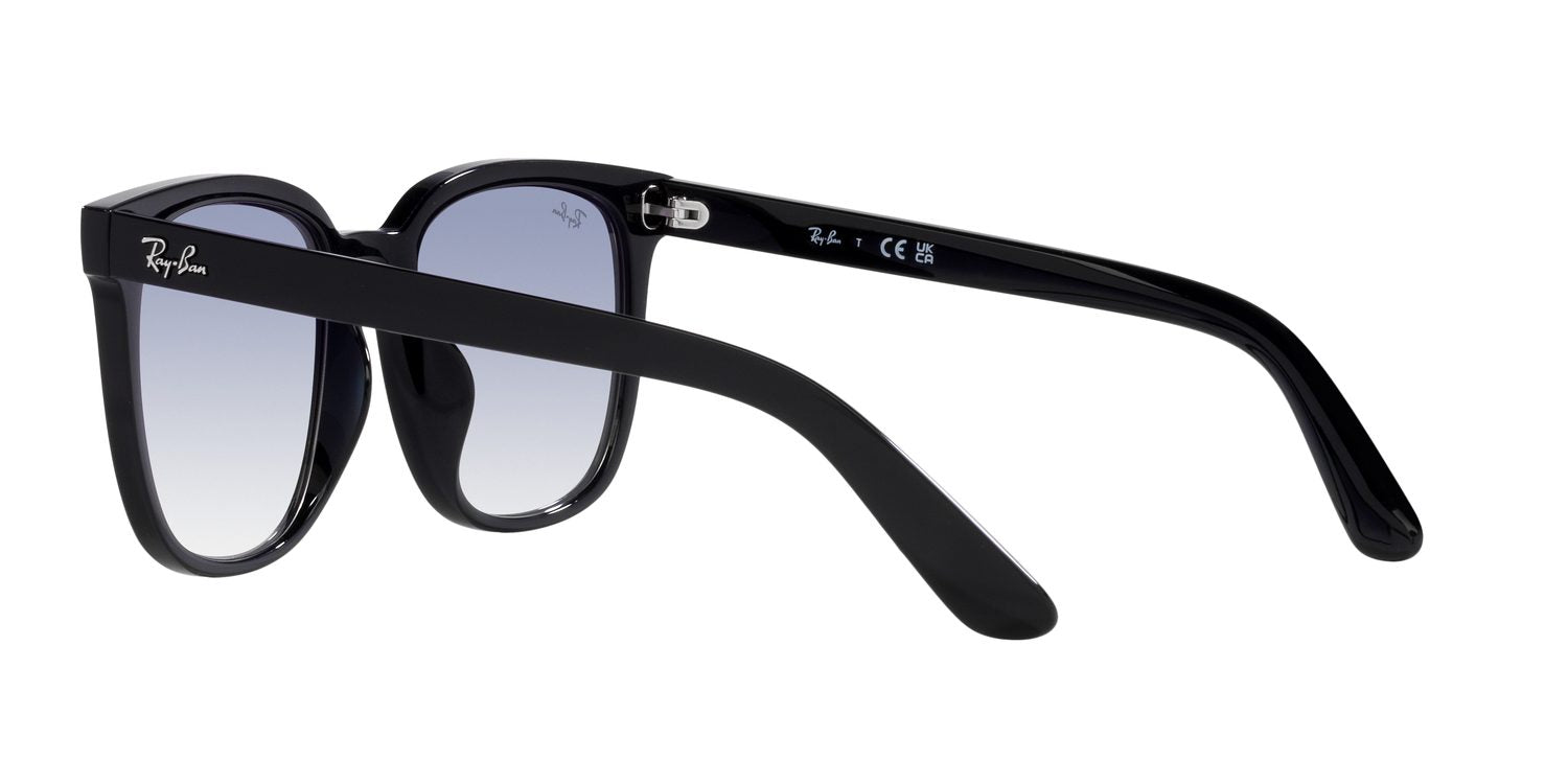 Ray-Ban | 0RB4401D