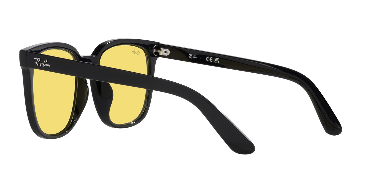 Ray-Ban | 0RB4401D