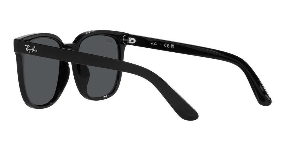 Ray-Ban | 0RB4401D