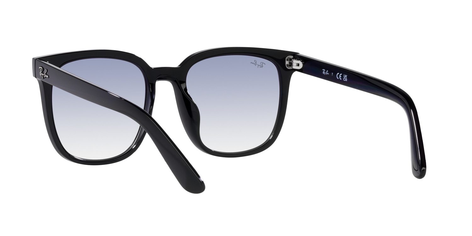 Ray-Ban | 0RB4401D