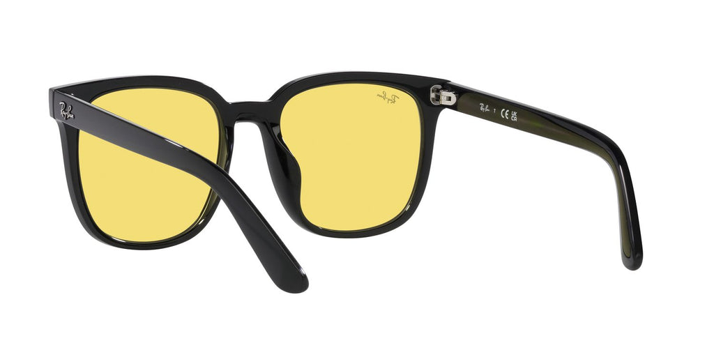 Ray-Ban | 0RB4401D