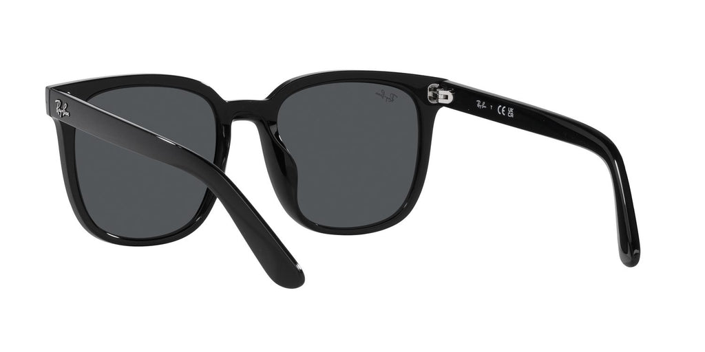 Ray-Ban | 0RB4401D