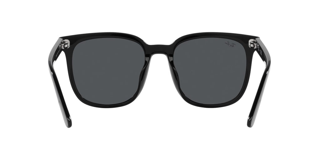 Ray-Ban | 0RB4401D
