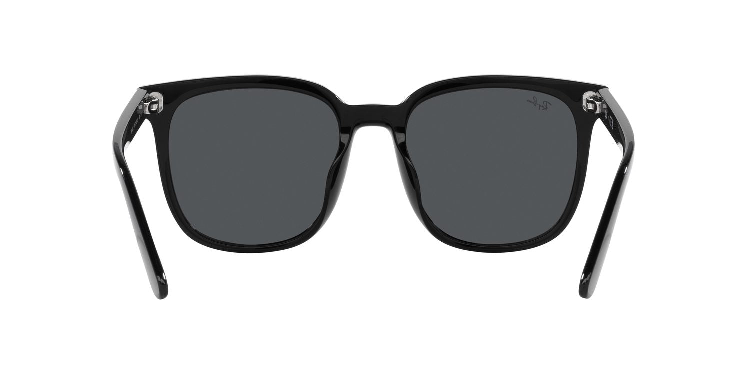 Ray-Ban | 0RB4401D