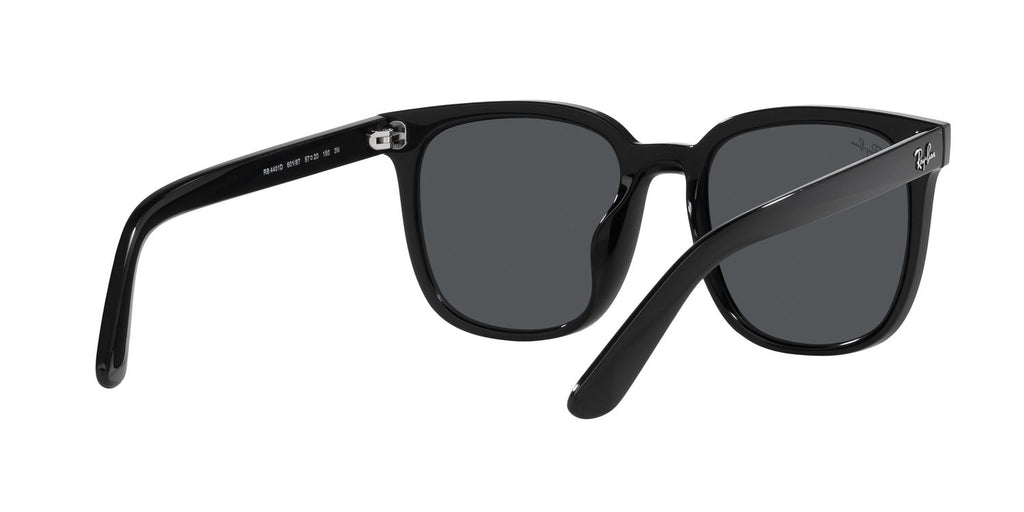 Ray-Ban | 0RB4401D