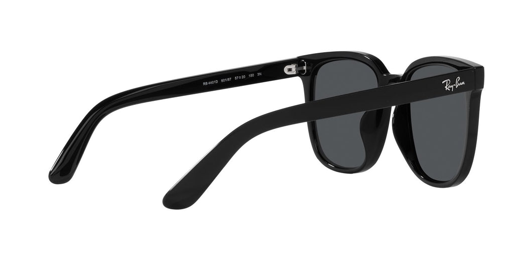 Ray-Ban | 0RB4401D