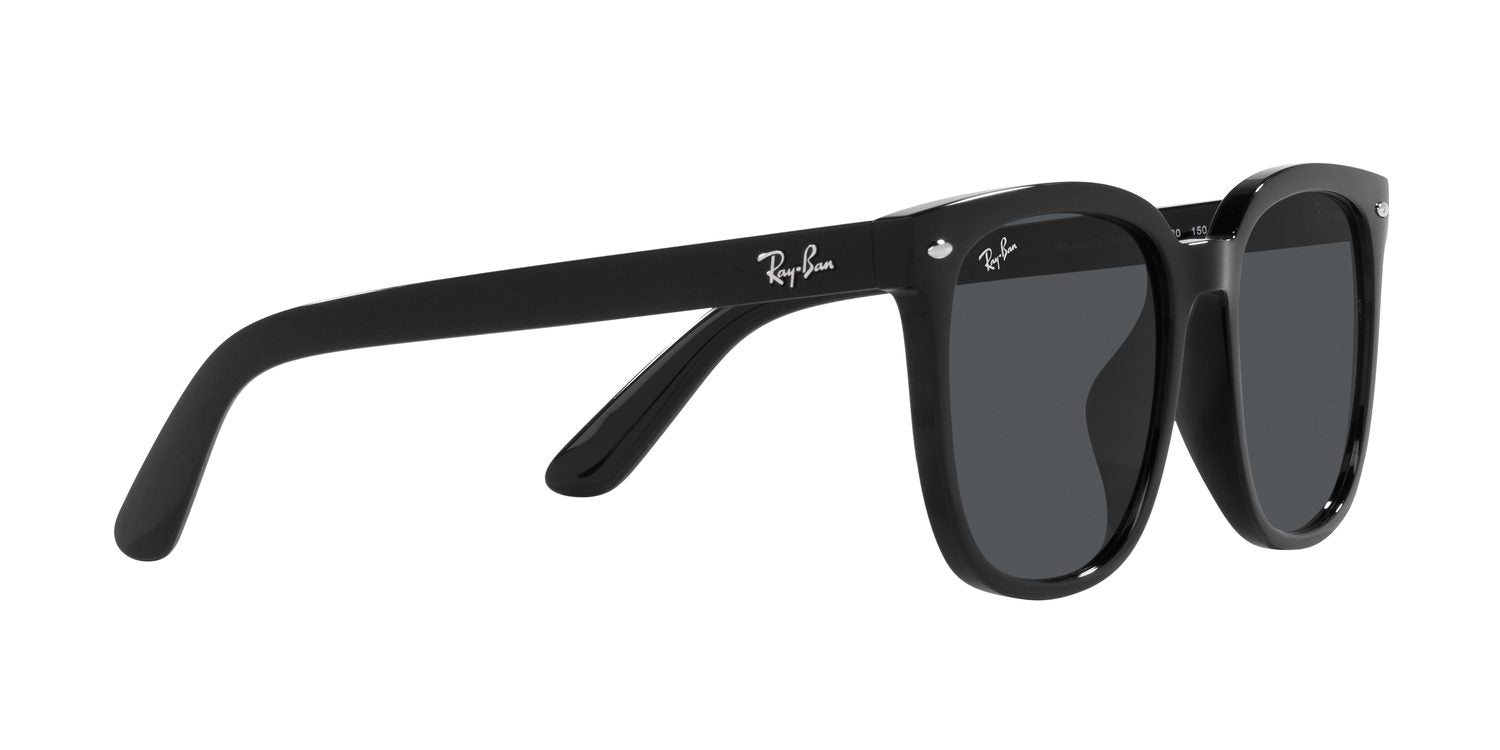 Ray-Ban | 0RB4401D