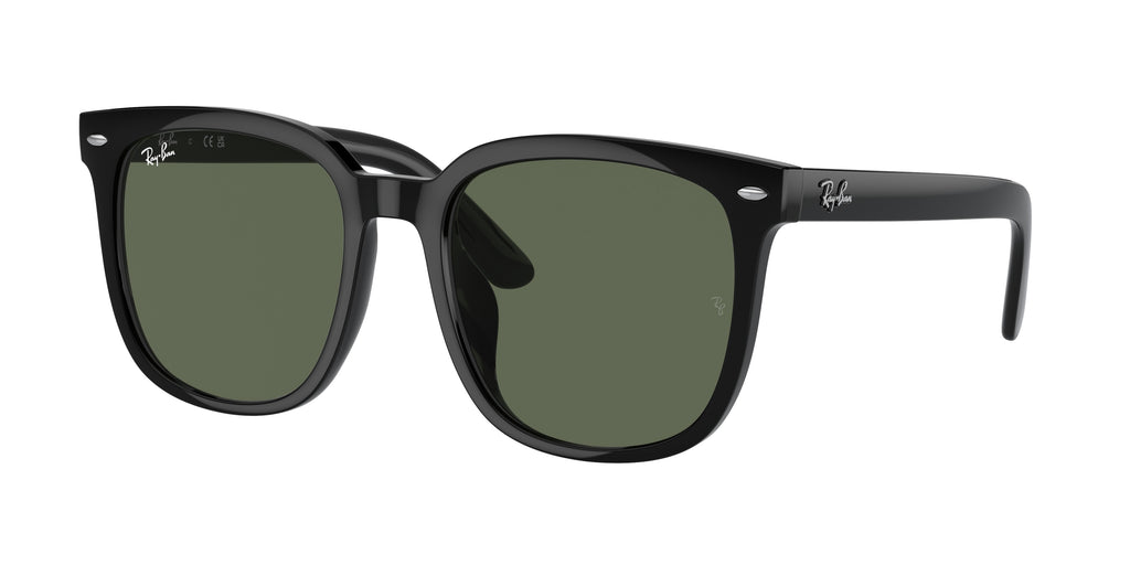 Ray-Ban | 0RB4401D
