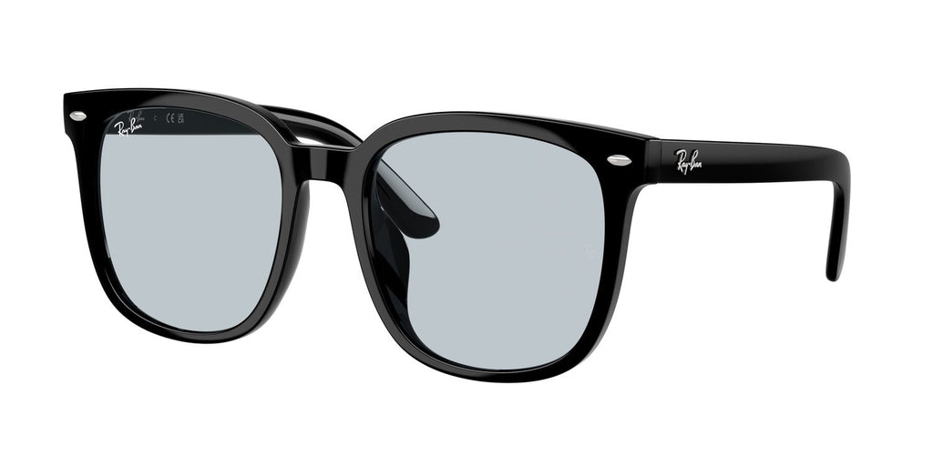 Ray-Ban | 0RB4401D