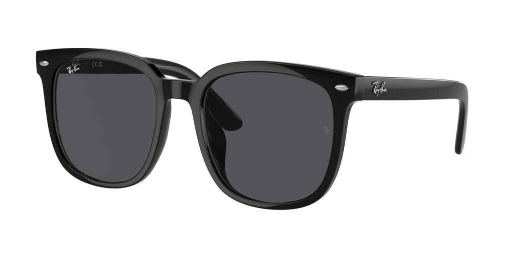 Ray-Ban | 0RB4401D
