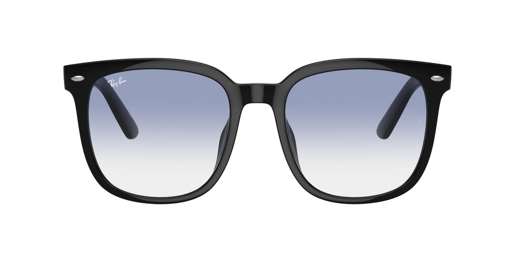 Ray-Ban | 0RB4401D