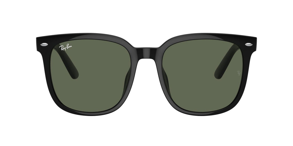 Ray-Ban | 0RB4401D