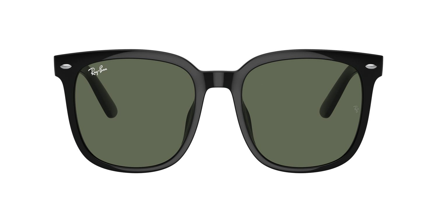 Ray-Ban | 0RB4401D