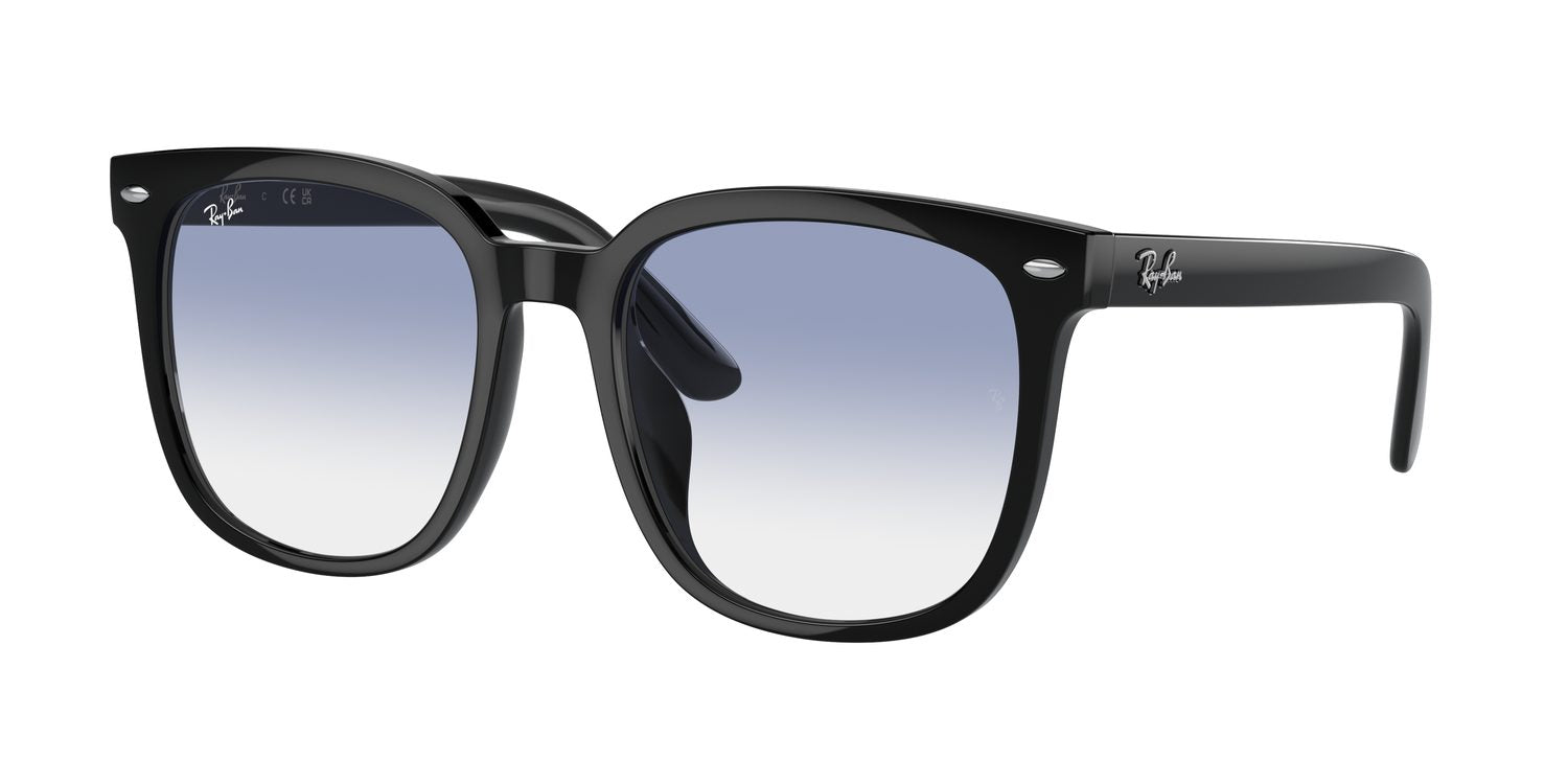 Ray-Ban | 0RB4401D
