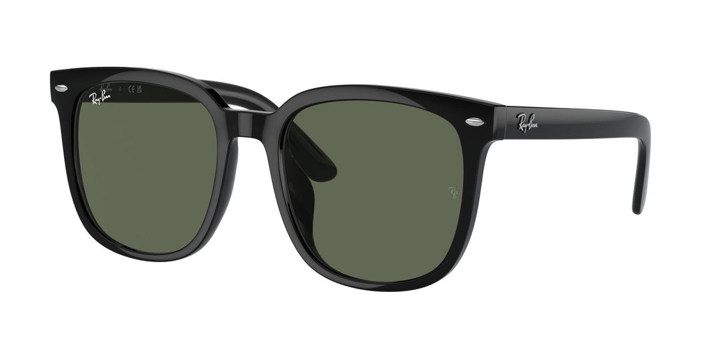Ray-Ban | 0RB4401D