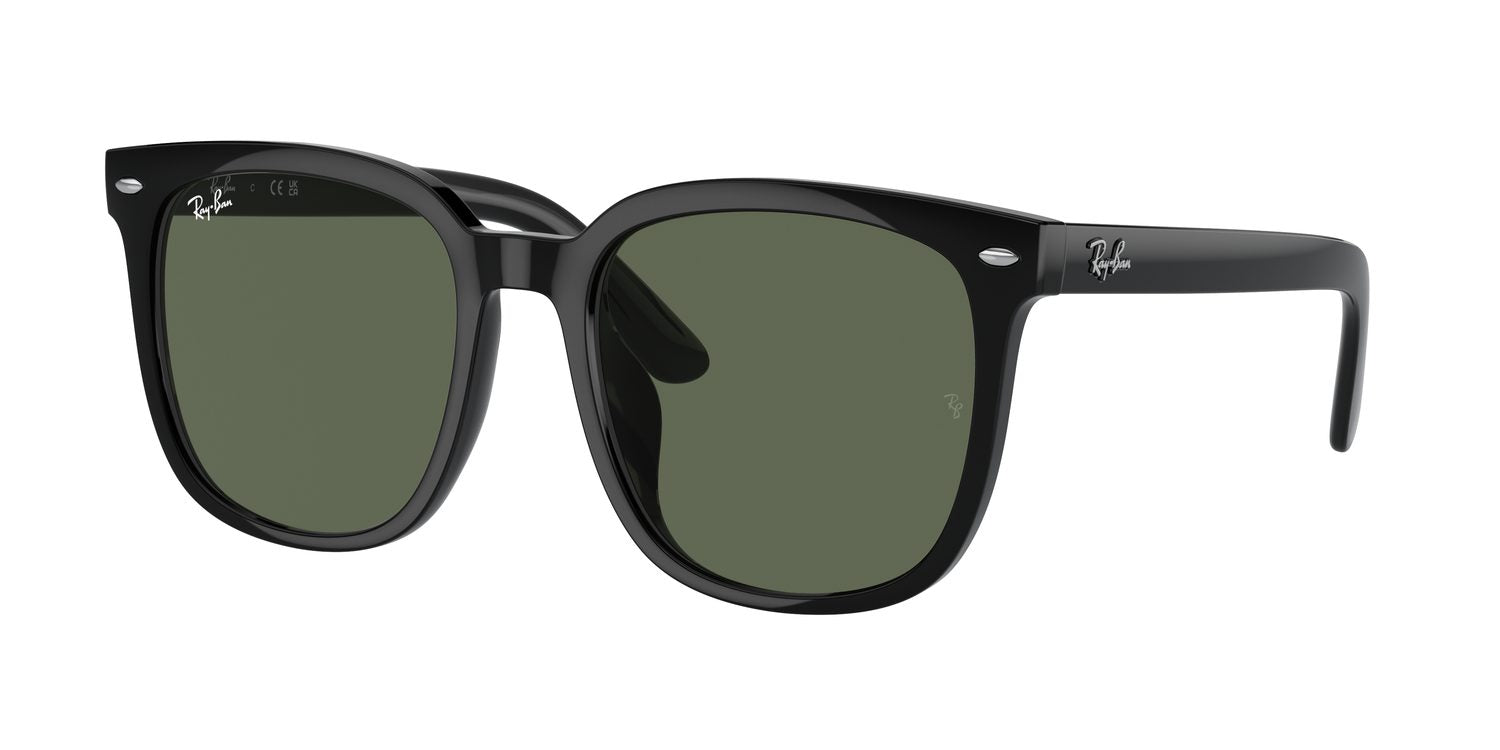 Ray-Ban | 0RB4401D