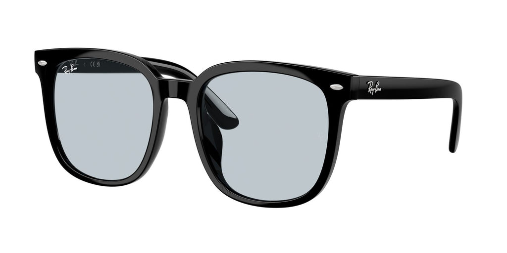 Ray-Ban | 0RB4401D