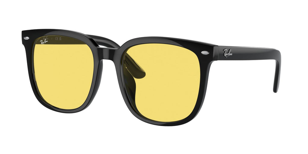 Ray-Ban | 0RB4401D