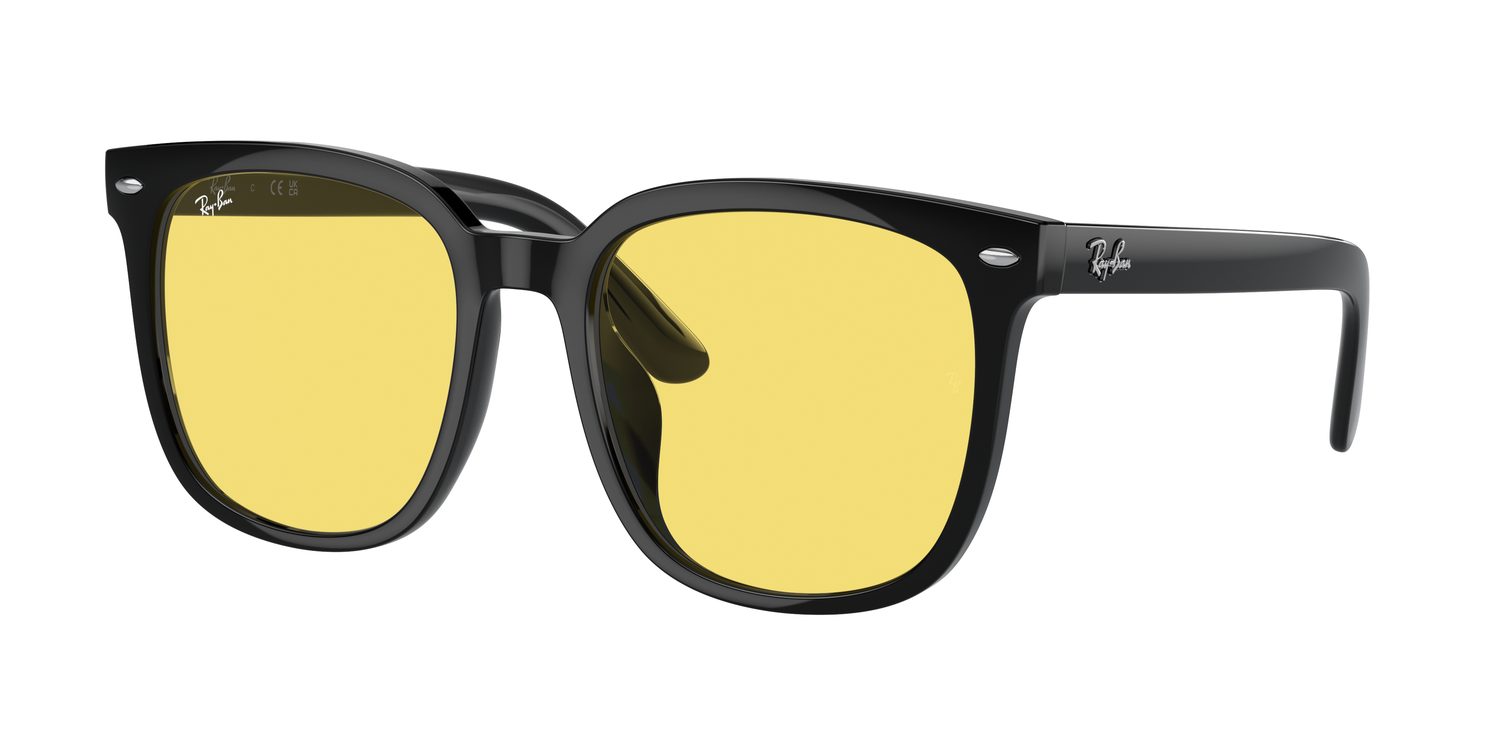 Ray-Ban | 0RB4401D