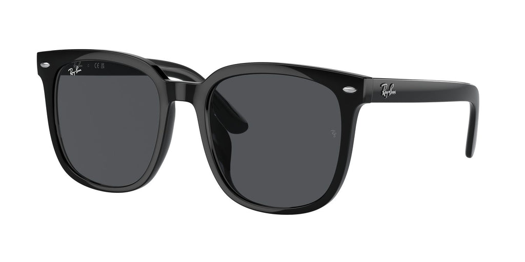 Ray-Ban | 0RB4401D