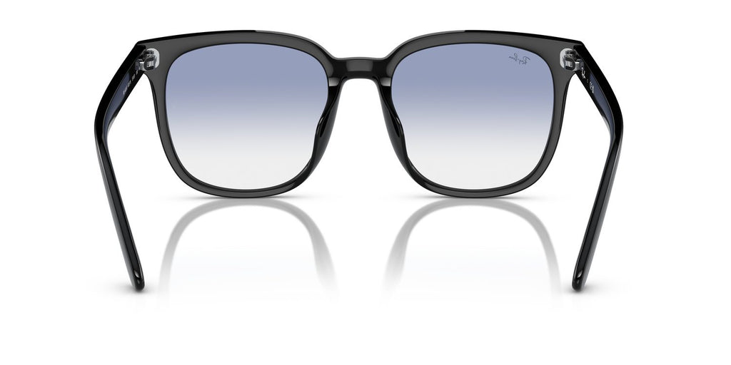 Ray-Ban | 0RB4401D